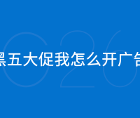 2024 年黑五大促我怎么开亚马逊广告