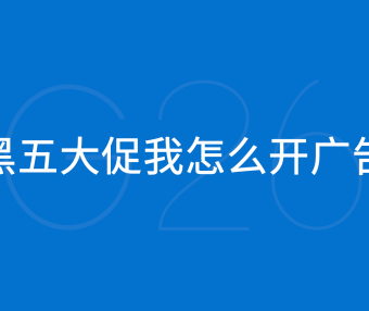 2024 年黑五大促我怎么开亚马逊广告
